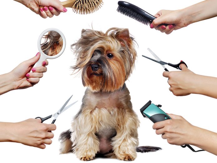 Mobile grooming supplies sale